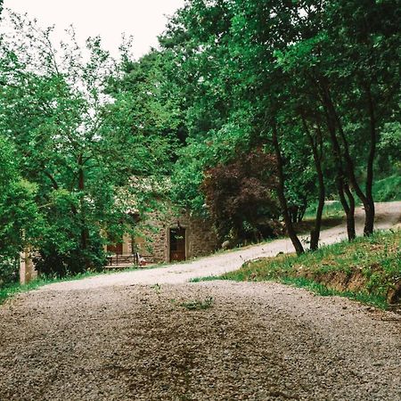Parulia Country House Ареццо Екстер'єр фото