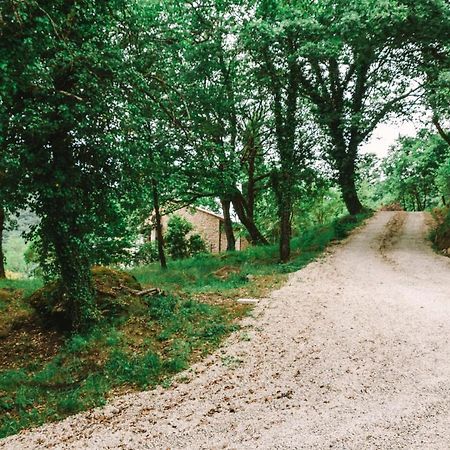 Parulia Country House Ареццо Екстер'єр фото