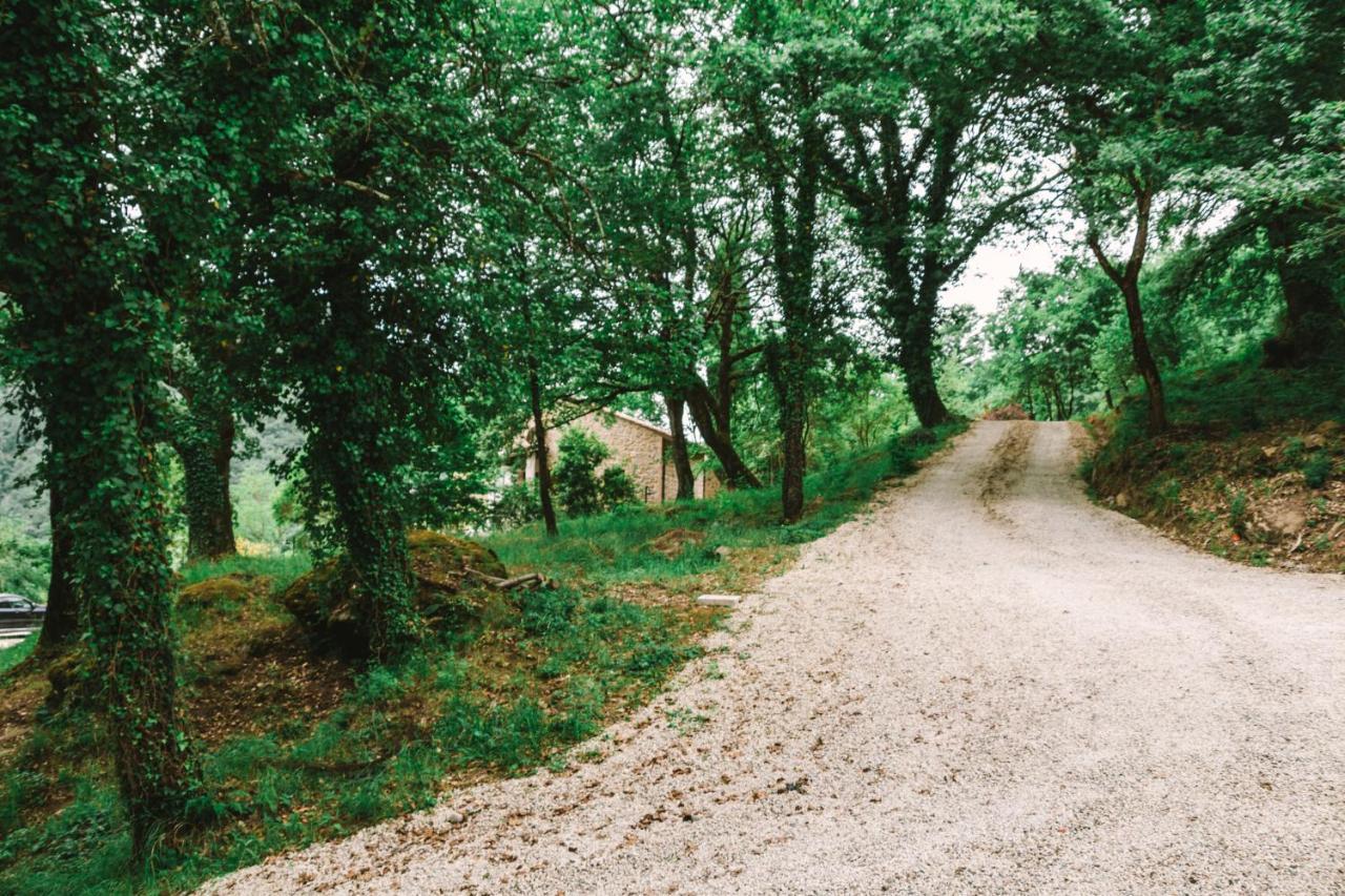 Parulia Country House Ареццо Екстер'єр фото