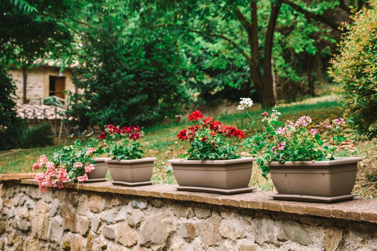 Parulia Country House Ареццо Екстер'єр фото